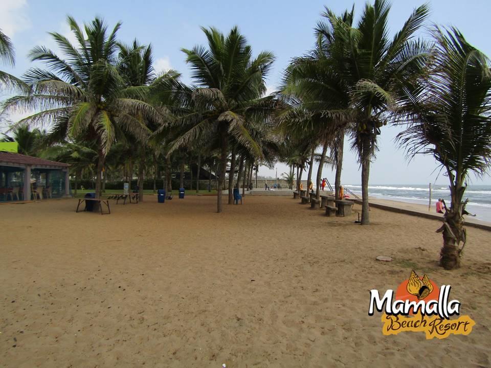 Mamalla Beach Resort มหาพลีปุรัม ภายนอก รูปภาพ